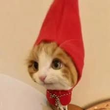 Samantha Ferrer avatar